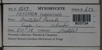 Image Associated With the Occurence